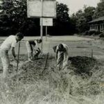 farm life 2